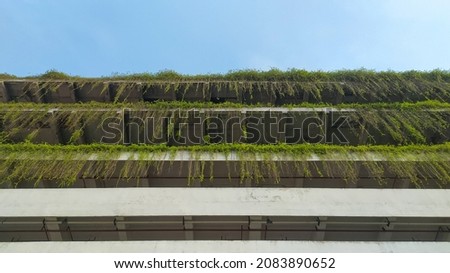 Photo of building covered with vines against blue sky background.
