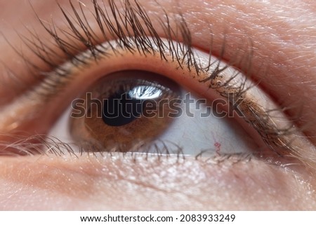 Close-up of a female eye in soft focus. Pupil at high magnification. Remains of mascara on the eyelashes. Royalty-Free Stock Photo #2083933249