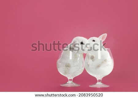 White bunnys in glass on pink background	
