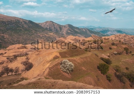 Soft focus. Spring mountain texture, mountain terrain. Colorful sunny morning landscape with silhouettes of big rocky mountains and epic deep gorge. 