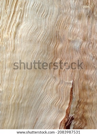 wooden texture for as background ( natural )