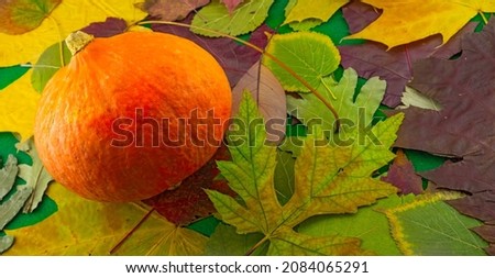 image of ripe pumpkin close-up