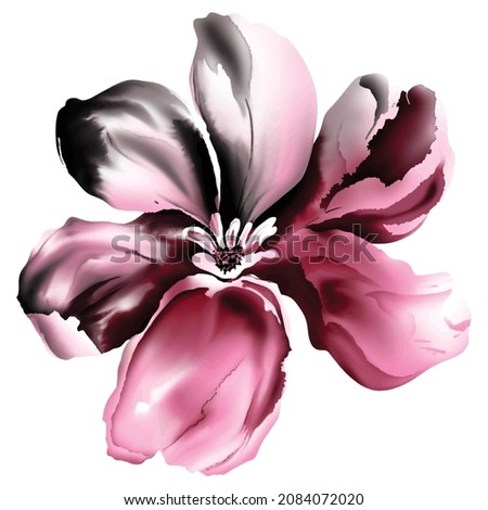 purple flower isolated on white Royalty-Free Stock Photo #2084072020