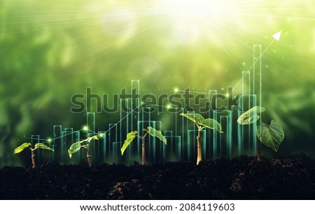 Seedling are growing from the rich soil with  business arrow of growth.Concept of business growth, profit, development and success.	 Royalty-Free Stock Photo #2084119603