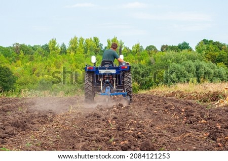 A blue compact tractor is harvesting potatoes in the field. Farm equipment at Royalty-Free Stock Photo #2084121253