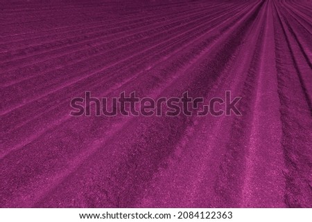 Abstract texture for backdrop screen, a pattern of marks in the beach sand that act as a vanishing point, shapes and forms of endless lines. Colored in purple pink. Luxury and modern floor concept Royalty-Free Stock Photo #2084122363