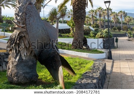 Old rusty propellers leaning against palm trees on the shore