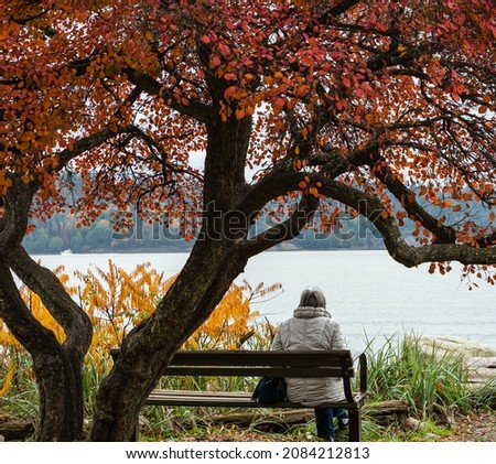 A woman sitting on the bench under the tree in autumn park by a river. A woman relaxing in autumn park watching the river. Street photo, travel photo, selective focus