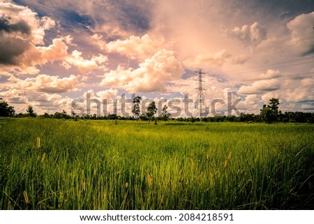High voltage electric pylon and electrical wire at green rice field and tree forest. Electricity pylon with overcast sky. High voltage grid tower with wire cable. Power and energy concept.