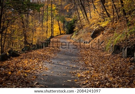 Colorful fall foliage surrounds a road at New Jersey's Palisades Interstate Park.  Royalty-Free Stock Photo #2084241097