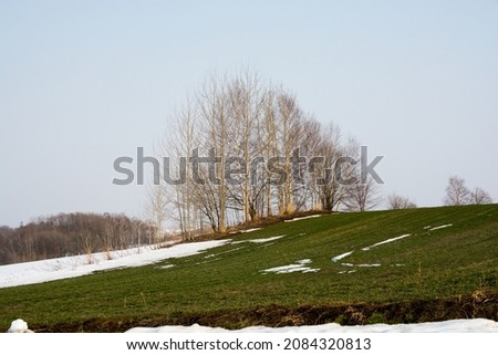 Spring field with snow and groves
