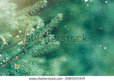 Green branch of Christmas tree in garland against the background of falling snow.