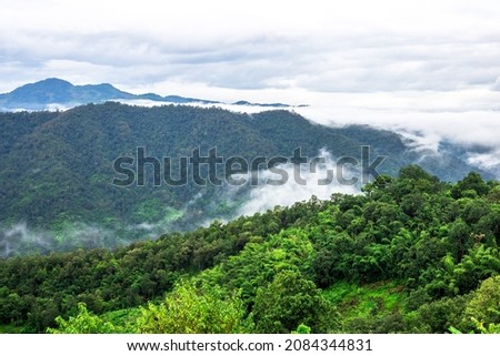 The blurry nature background of the mist that flows through the mountains in the morning, is a natural beauty, the abundance of seasonal forests.