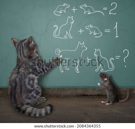 A gray cat solves funny math problems on a gray wall.