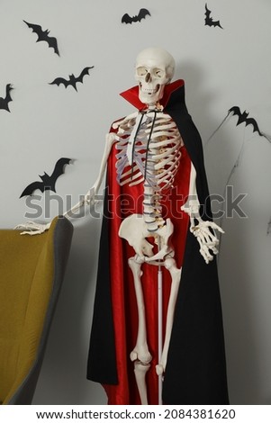 Skeleton in cloak near armchair and paper bats on light wall indoors. Halloween decor