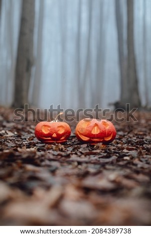Dark trees in foggy forest. Halloween pumpkins with carved face lying on countryside dirty road with fallen autumn leaves in forest in the morning. 