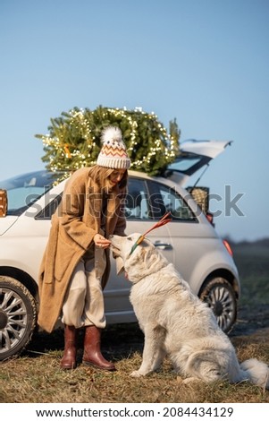 Woman playing with her cute white dog near car and illuminated Christmas tree on a rooftop on nature at dusk. Concept of celebrating New Year holidays. Idea of Christmas mood and fun