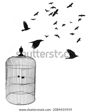 empty bird cage with open door isolated on a white background