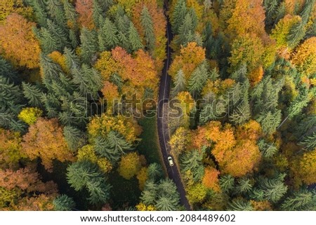 Aerial view of a car driving on the mountain road in a beautiful pine and deciduous forest	
 Royalty-Free Stock Photo #2084489602