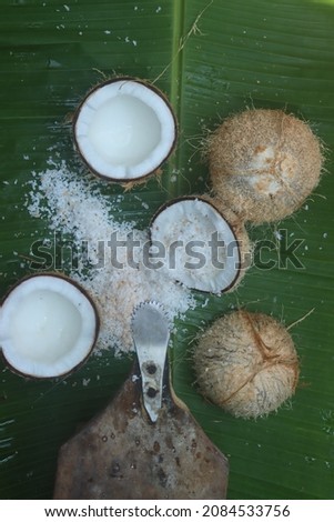 kerala style grating coconut stock images selective focus