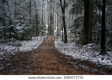 Winter has come. First snow frost. Morning walk, snow, ice, forest. Selective focus. High quality photo Royalty-Free Stock Photo #2084575735