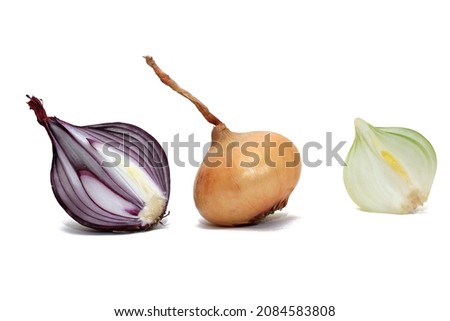 Organic red, yellow and white onion isolated on white background