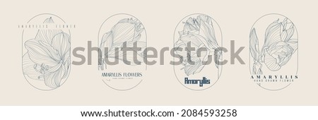 Hand Drawn Feminine Logo Templates Set. Amaryllis lily Flower Illustration with Classy Typography. Symbol for cosmetics, jewellery, beauty products on feminine style.
