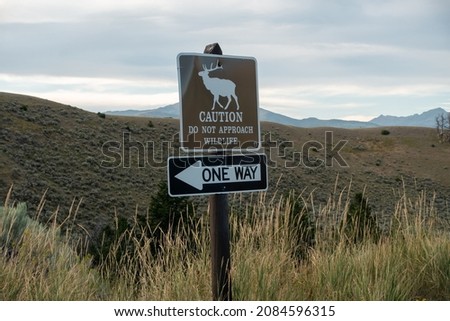 danger caution crossing wildlife in yellowstone park