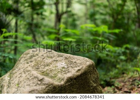 Yellow brown rock as foreground object in shallow depth of field focus with tropical rain forest jungle full of trees and leaves as blurred bokeh background. Stone with moss and blurred dry leaves. Royalty-Free Stock Photo #2084678341