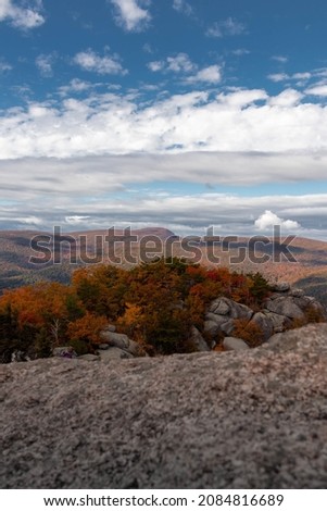 Fall Foliage Trees and Rocks Along the Horizon in Virginia 