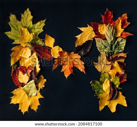 English alphabet made by autumn leaves. Natural colors Font for design on black background.