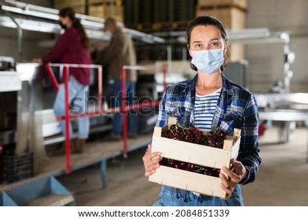 Female factory worker in protective mask holding a box of ripe cherries. High quality photo