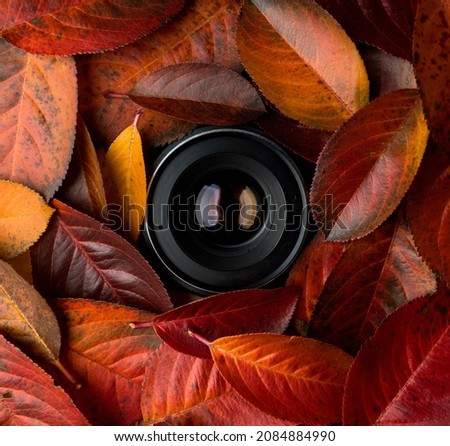 Hidden camera lens looking through colorful faded leaves. Colorful autumn background.