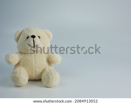 white teddy bear isolated on a white background. copy space ready to add text