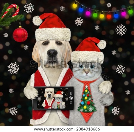 A dog labrador with a smartphone hugs an ashen cat in Santa Claus clothing at the party for Christmas.