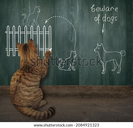 A beige cat teaches to escape from dogs near a wooden fence.