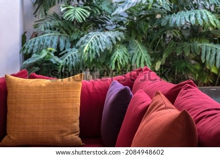 
Comfortable colorful cushions on tropical plants background