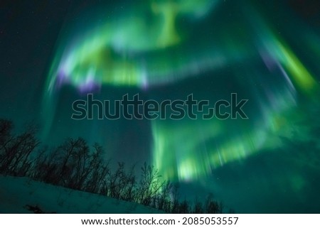 norther lights aurora borealis in landscape Swedish lapland