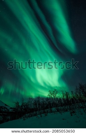 norther lights aurora borealis landscape Swedish lapland