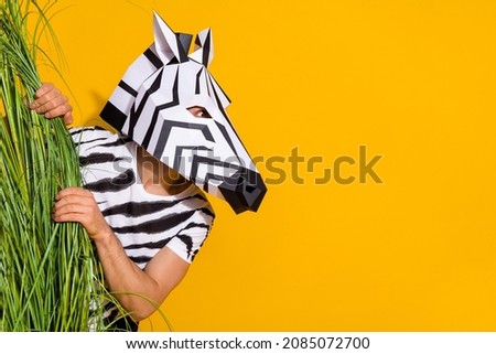 Photo of funny funky guy dressed wild animal costume hiding behind high grass looking empty space isolated yellow color background Royalty-Free Stock Photo #2085072700