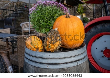 Beautifully arranged pumpkins in a rural setting. Picture from Cochem, Rhineland-Palatinate, Germany
