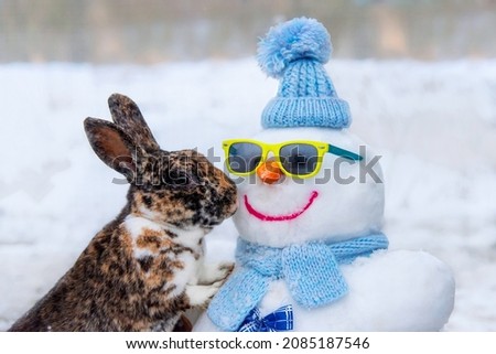 Lovely little rabbit with a snowman in winter