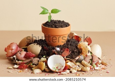 Organic waste, heap of bio compost with decomposed organic matter on top , closeup, zero waste, eco friendly, waste recycling concept Royalty-Free Stock Photo #2085210574