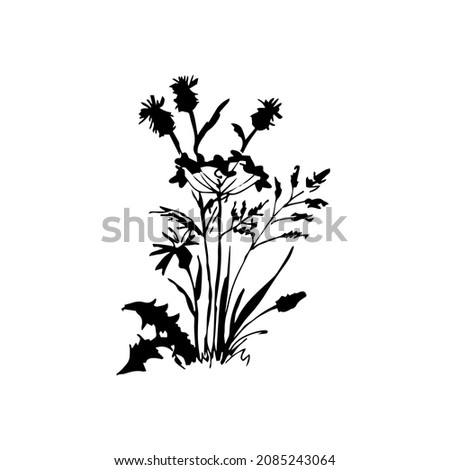 Meadow herbs.  Vector illustration. Black silhouette.