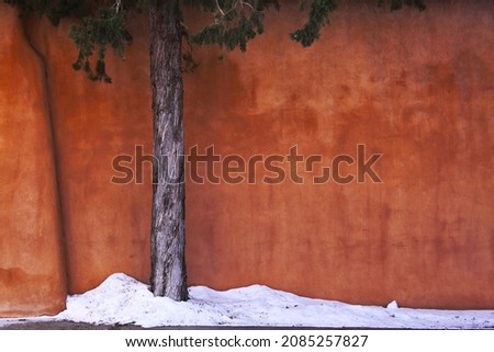 Tree trunk against an orange adobe wall with snow piled on a sidewalk in Santa Fe, New Mexico
