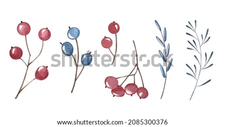 Watercolor botanical set. , Red and blue berries, Green conifer leaves. Hand drawing. Isolated on white background. For holidays card, winter poster, banner, wallpaper, wrapping paper,design.