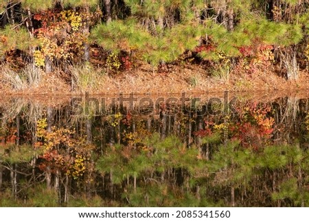 Fall colors and their reflections in water