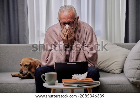 Sick elderly man sitting on sofa with dog and using tablet for entertainment or online doctor consultation, suffering from seasonal flu or cold. Ill senior feel unhealthy with influenza at home Royalty-Free Stock Photo #2085346339
