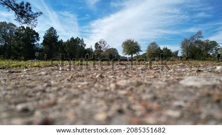 Ground level view soft focus intl a vast Florida blue sky and tree forest horizon Royalty-Free Stock Photo #2085351682