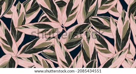 Luxury realistic and nature green background vector. Tropical leaves seamless pattern. Stromanthe triostar. design for interior design, Background, fashion, fabric, wallpaper, gift paper, and textiles Royalty-Free Stock Photo #2085434551